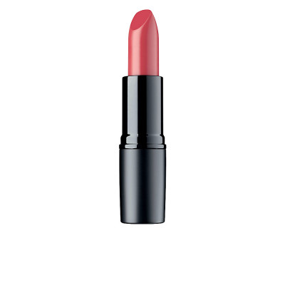 PERFECT MAT lipstick 173-skipper's Love
