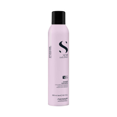 Laque en spray STYLE & CARE 300 ml