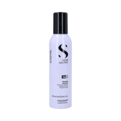Mousse coiffante STYLE & CARE pour tous types de cheveux 250 ml