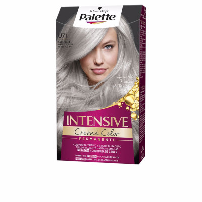 PALETTE INTENSIVE teinture U71-gris argenté